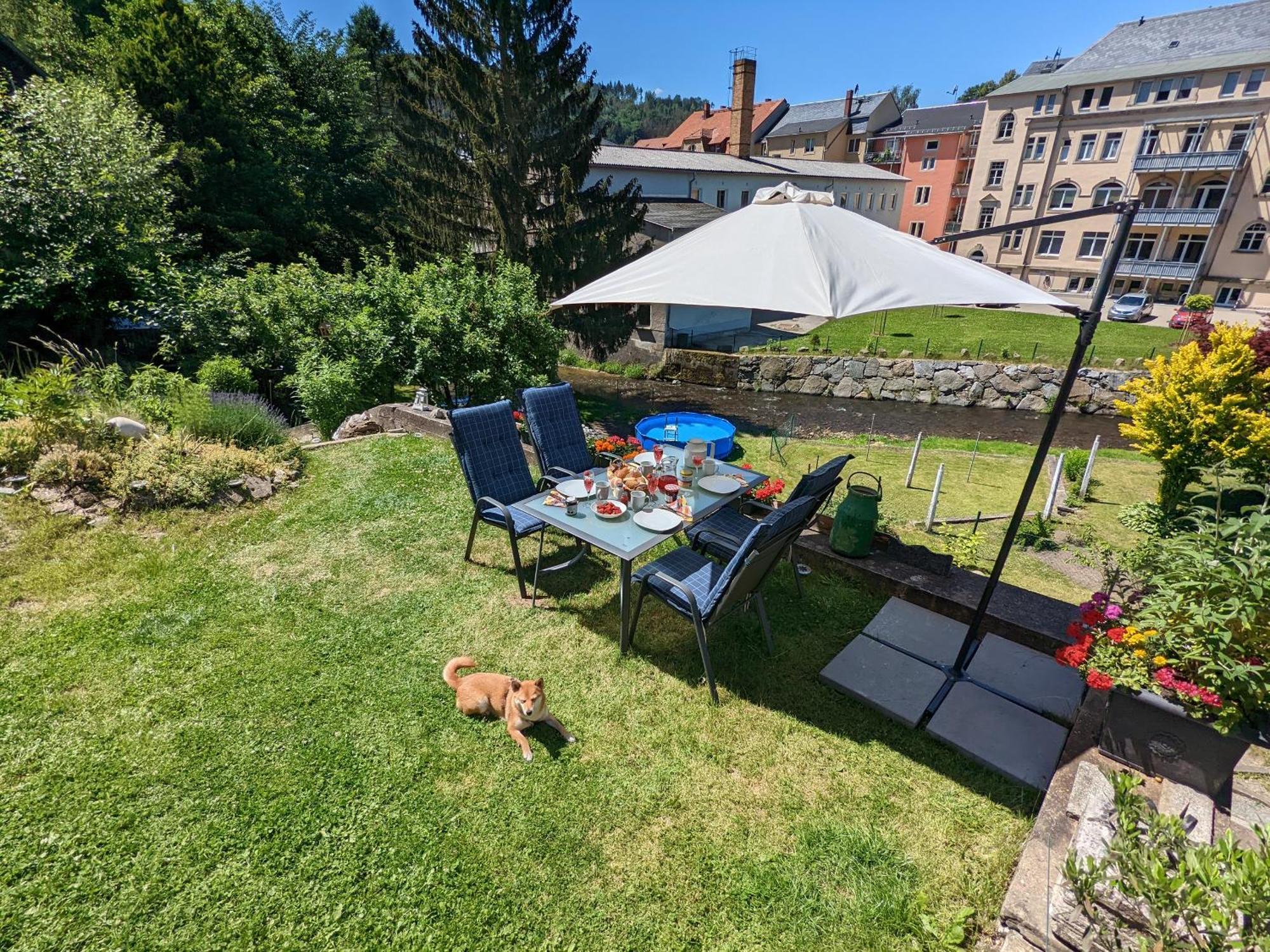 Hw4B - Urlaubsmagie - Zentral Mit Gemeinschaftsgarten, -Pool, -Sauna & Whirlpool Sebnitz Esterno foto