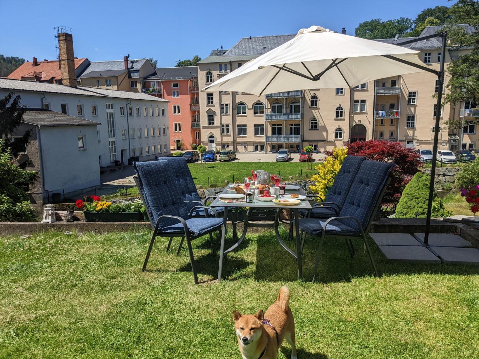Hw4B - Urlaubsmagie - Zentral Mit Gemeinschaftsgarten, -Pool, -Sauna & Whirlpool Sebnitz Esterno foto