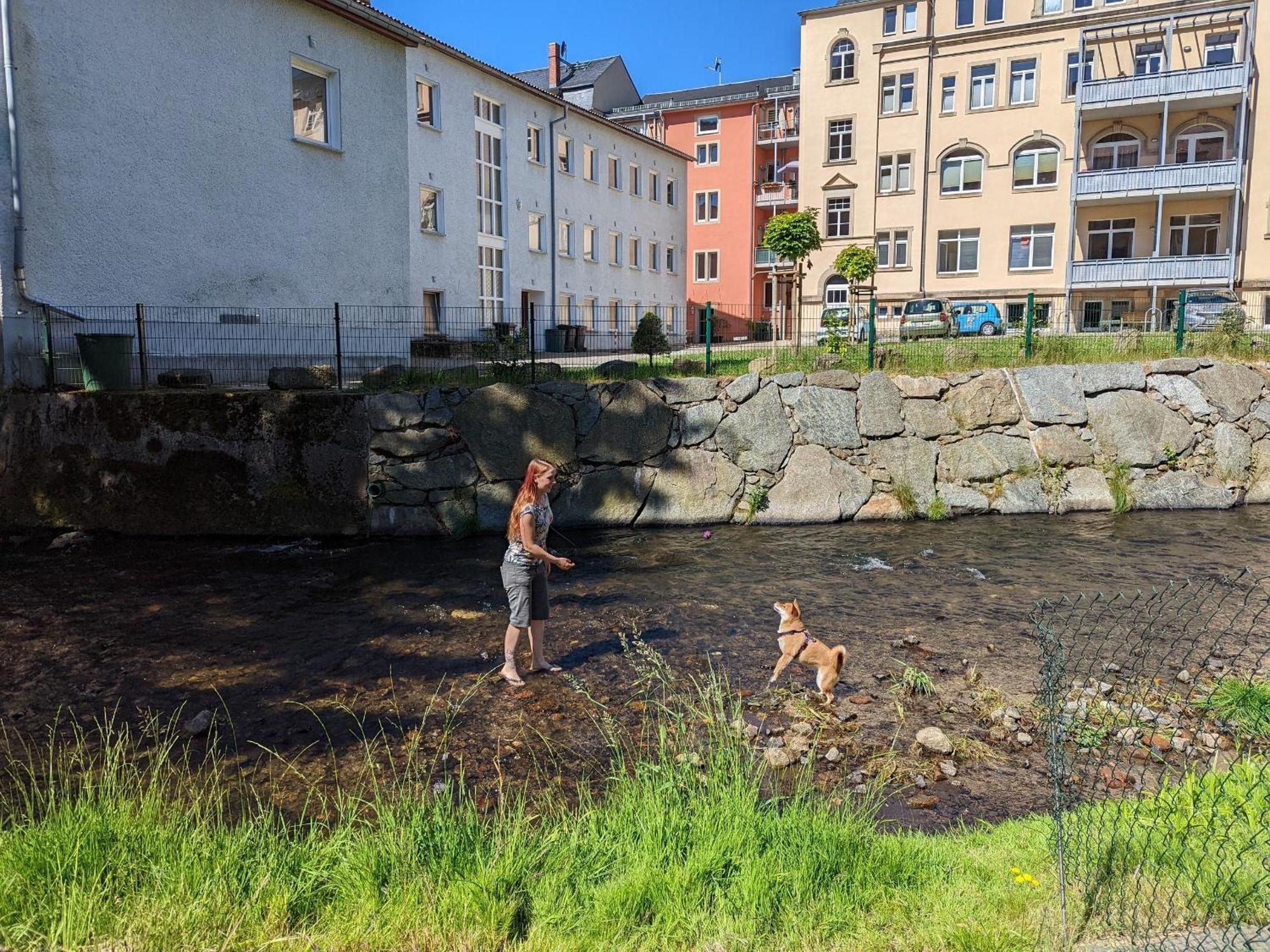 Hw4B - Urlaubsmagie - Zentral Mit Gemeinschaftsgarten, -Pool, -Sauna & Whirlpool Sebnitz Esterno foto