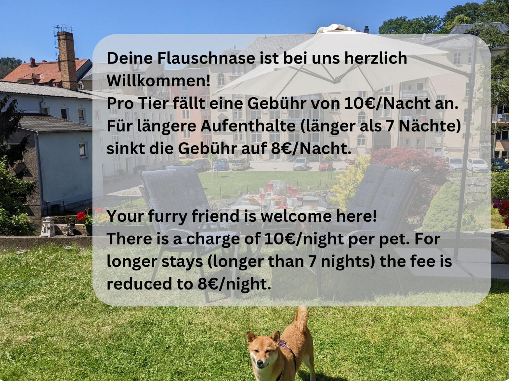 Hw4B - Urlaubsmagie - Zentral Mit Gemeinschaftsgarten, -Pool, -Sauna & Whirlpool Sebnitz Esterno foto